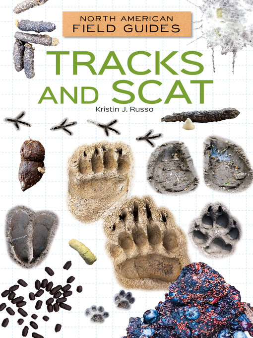 Title details for Tracks and Scat by Kristin J. Russo - Available
